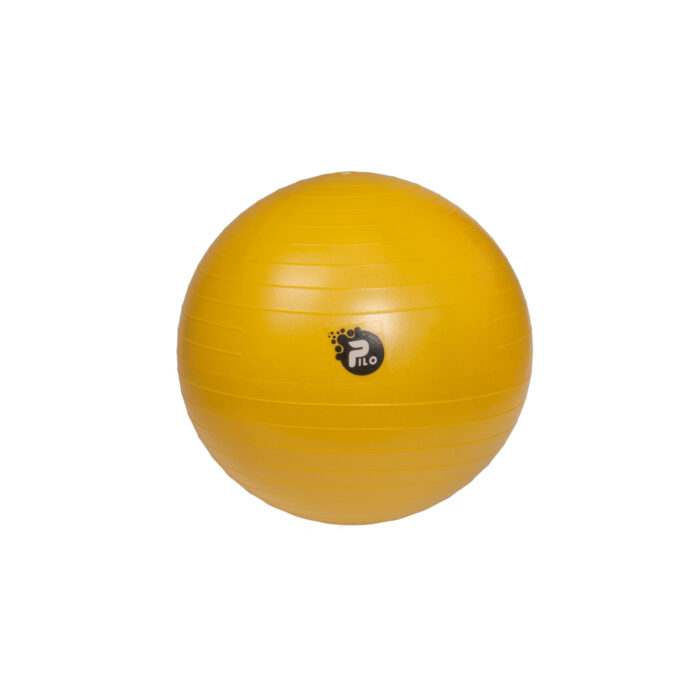 pilka-rehabilitacyjna-abs-45cm pilka-rehabilitacyjna-abs-45cm