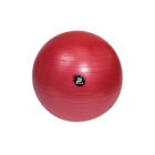 pilka-rehabilitacyjna-abs-55cm