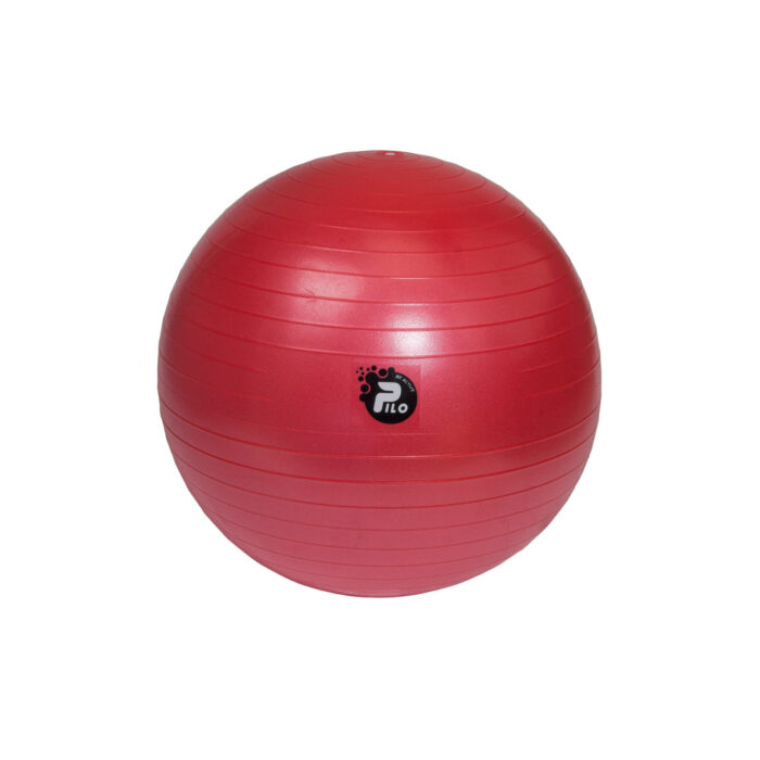 pilka-rehabilitacyjna-abs-55cm pilka-rehabilitacyjna-abs-55cm
